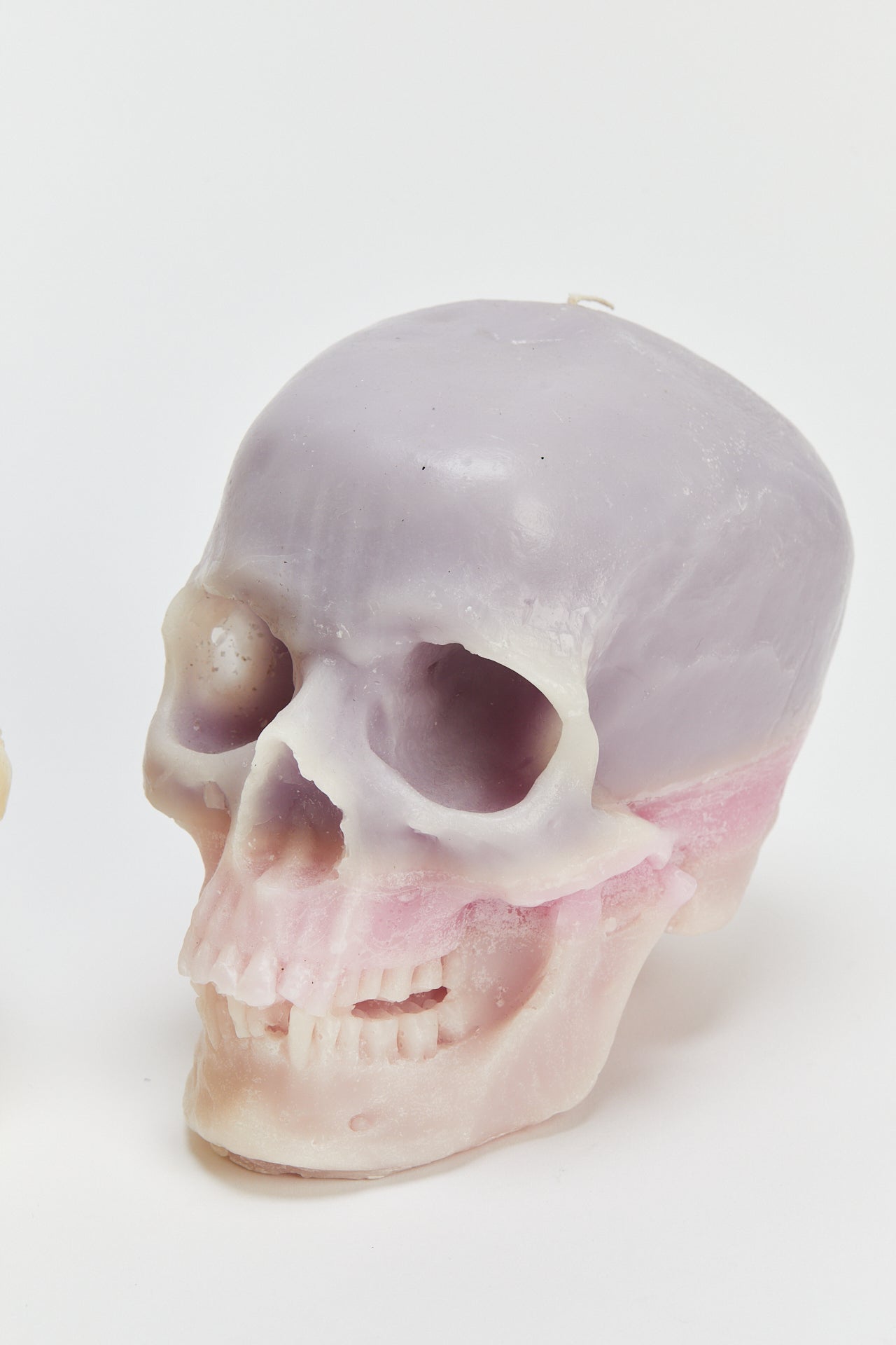 נר גולגולת XL (יחידה אחת)