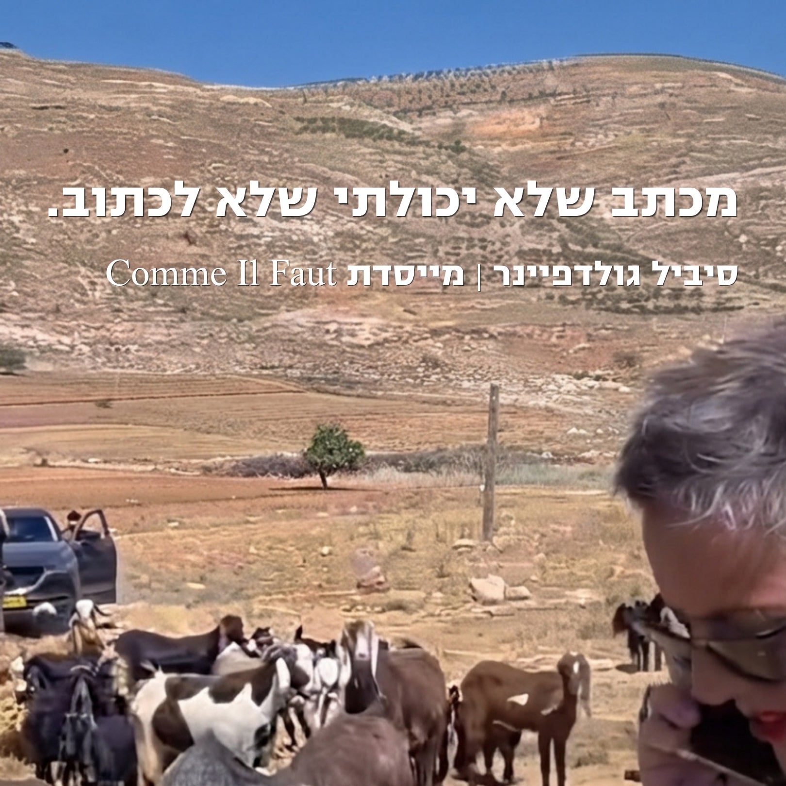 מכתב שלא יכולתי שלא לכתוב. במיוחד אחרי סוף השבוע האחרון. סיביל גולדפיינר