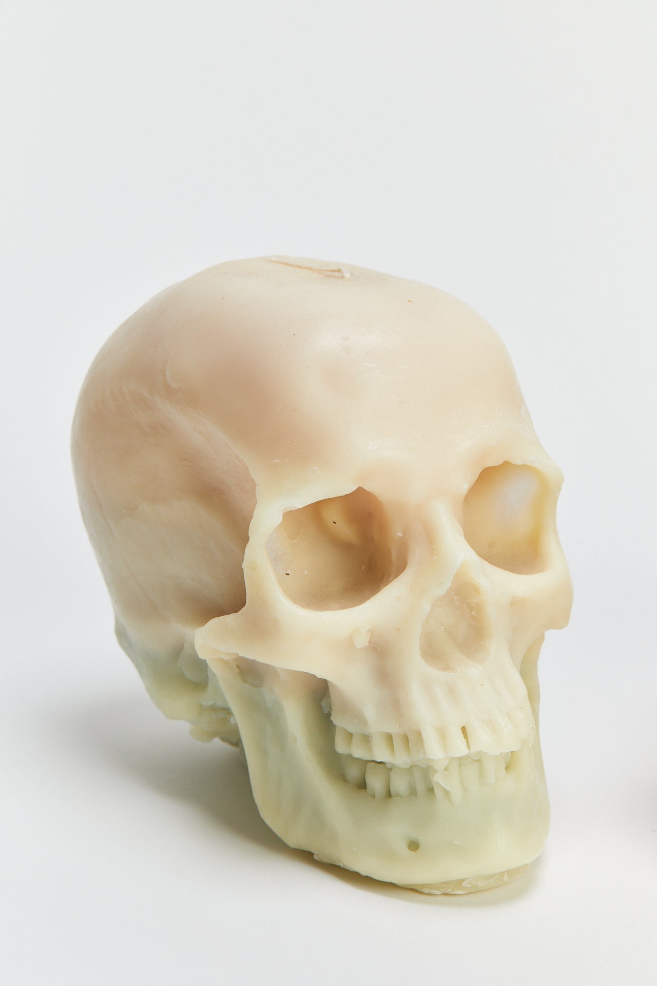 נר גולגולת XL (יחידה אחת)