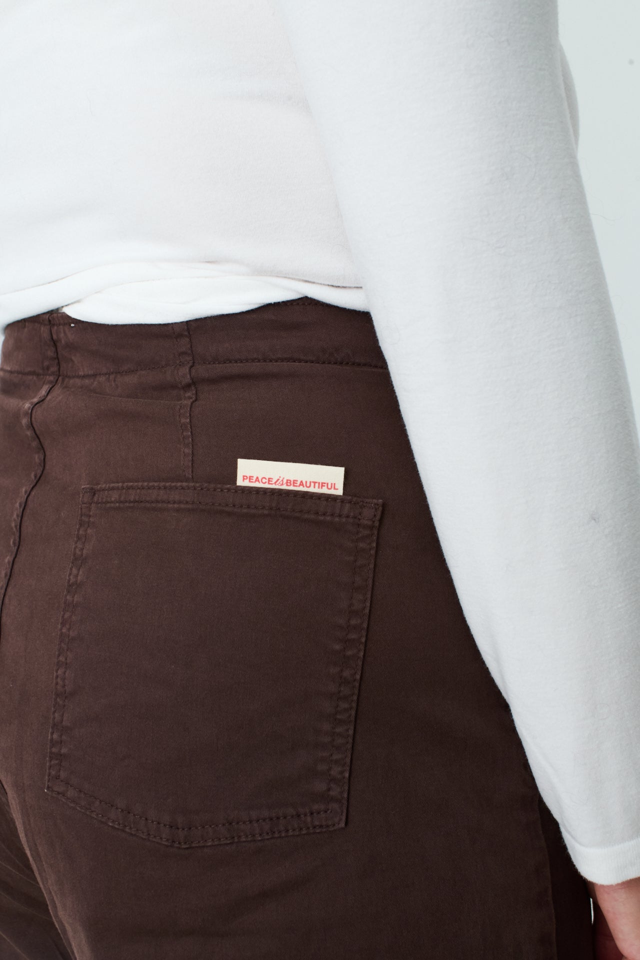 BROWN BUTLER PANTS